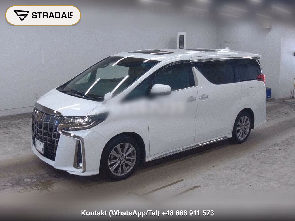 TOYOTA ALPHARD S TYPE GOLDⅢ, miniaturka 5