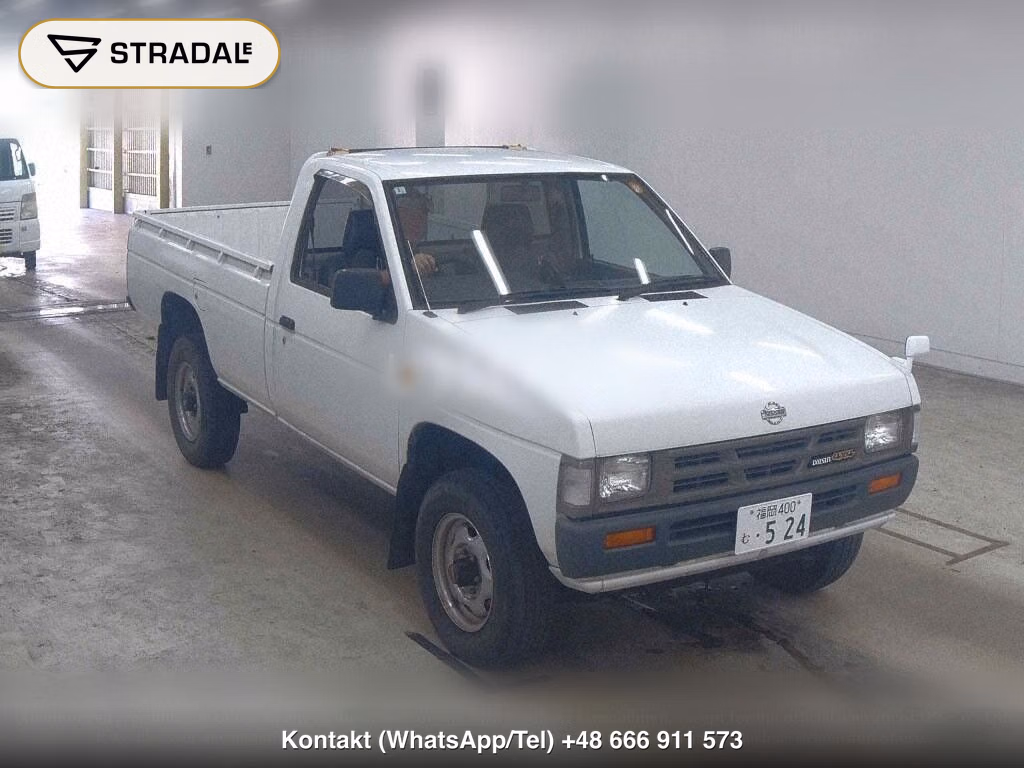 NISSAN DATSUN PICK UP 2D 4WD LONG DX, miniaturka 2