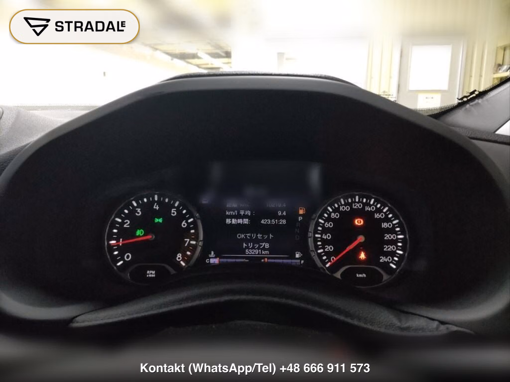 CHRYSLER JEEP JEEP RENEGADE 4WD TRAILHAWK, miniaturka 7