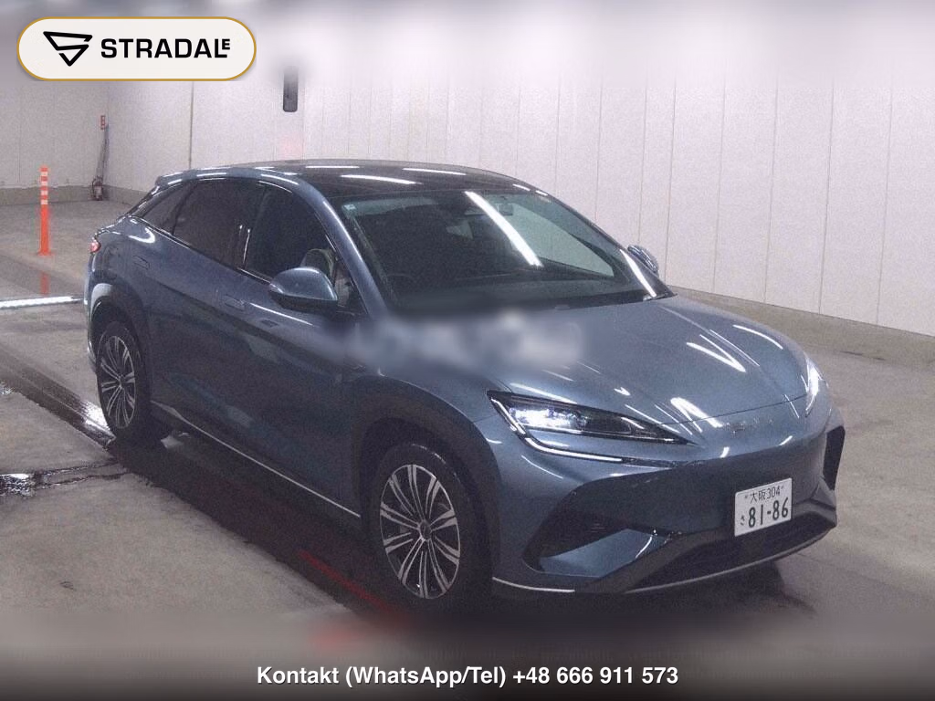 BYD SEALION 7 BASE GRADE, miniaturka 2