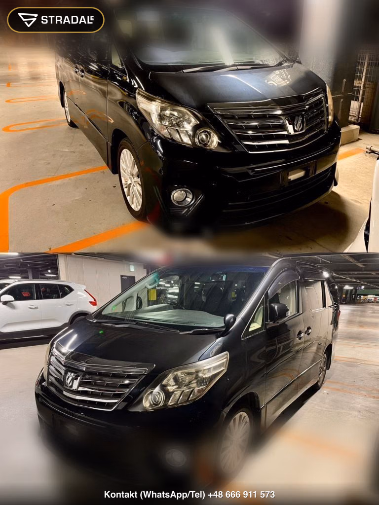 TOYOTA ALPHARD 350S, miniaturka 10