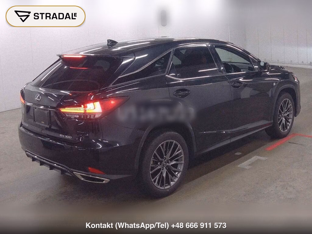 LEXUS RX RX300 F SPORT, miniaturka 6