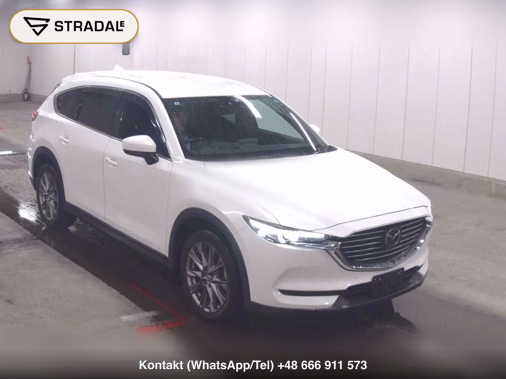 MAZDA CX-8 25S PROACTIVE 2019, aukcja z Japonii, zdjęcie 1