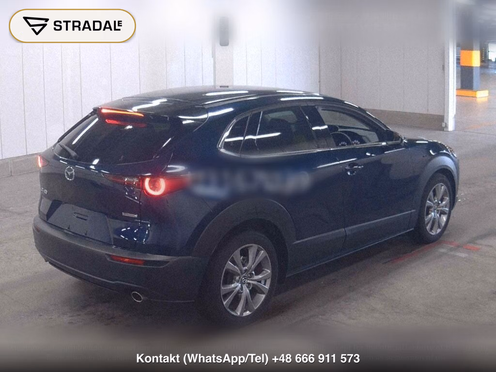 MAZDA CX-30 20S PROACTIVE TOURING SELECTION, miniaturka 6