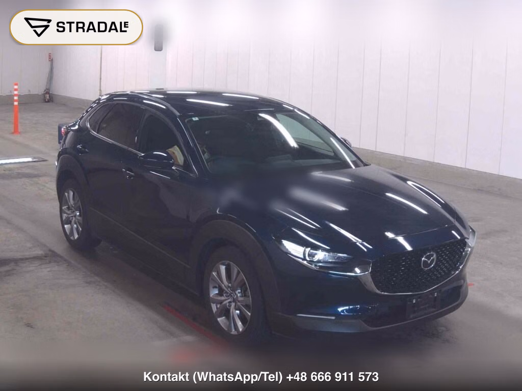 MAZDA CX-30 20S PROACTIVE TOURING SELECTION 2020, aukcja z Japonii, zdjęcie 1