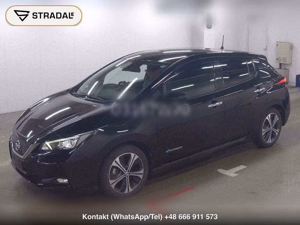 NISSAN LEAF X 10 THOUSAND UNITS MEMORIAL CAR, miniaturka 5
