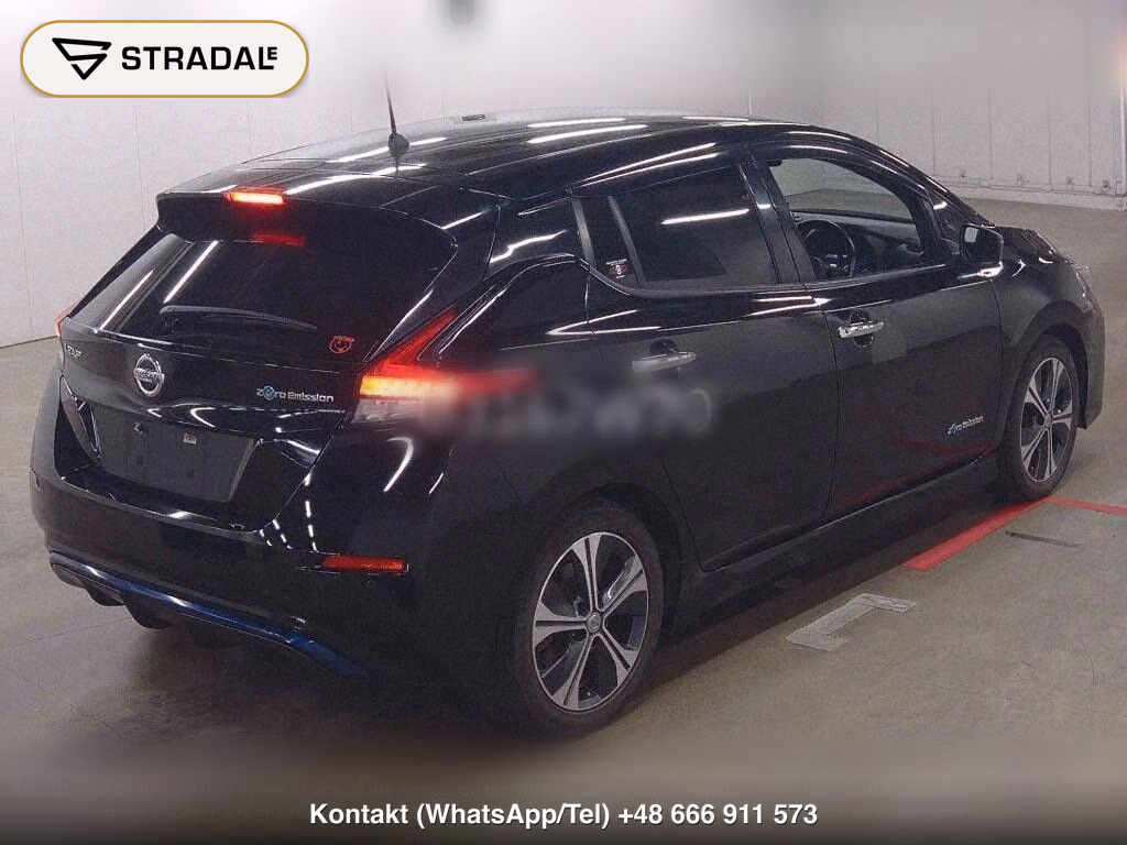 NISSAN LEAF X 10 THOUSAND UNITS MEMORIAL CAR, miniaturka 6