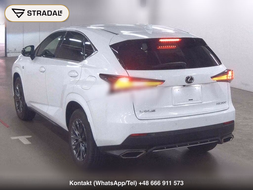 LEXUS NX NX300 SPECIAL EDITION COOL AND BRIGHT, miniaturka 3
