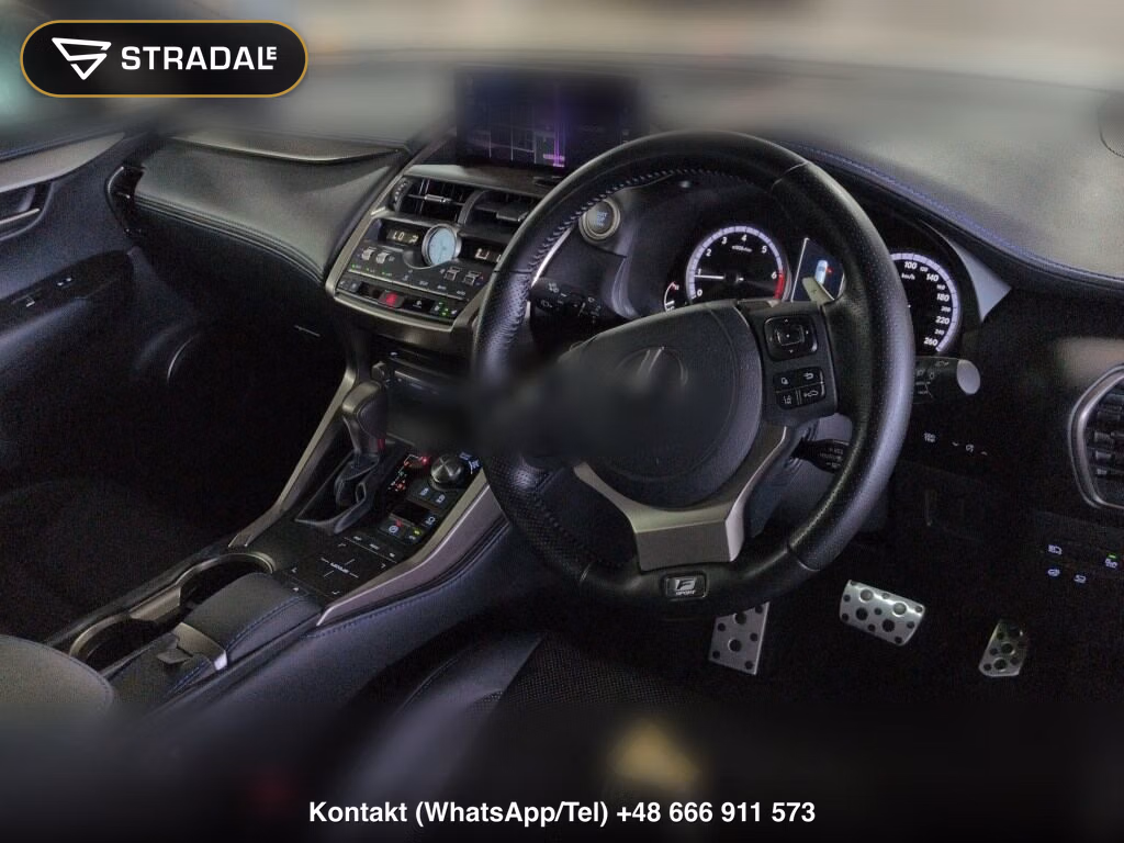 LEXUS NX NX300 SPECIAL EDITION COOL AND BRIGHT, miniaturka 4