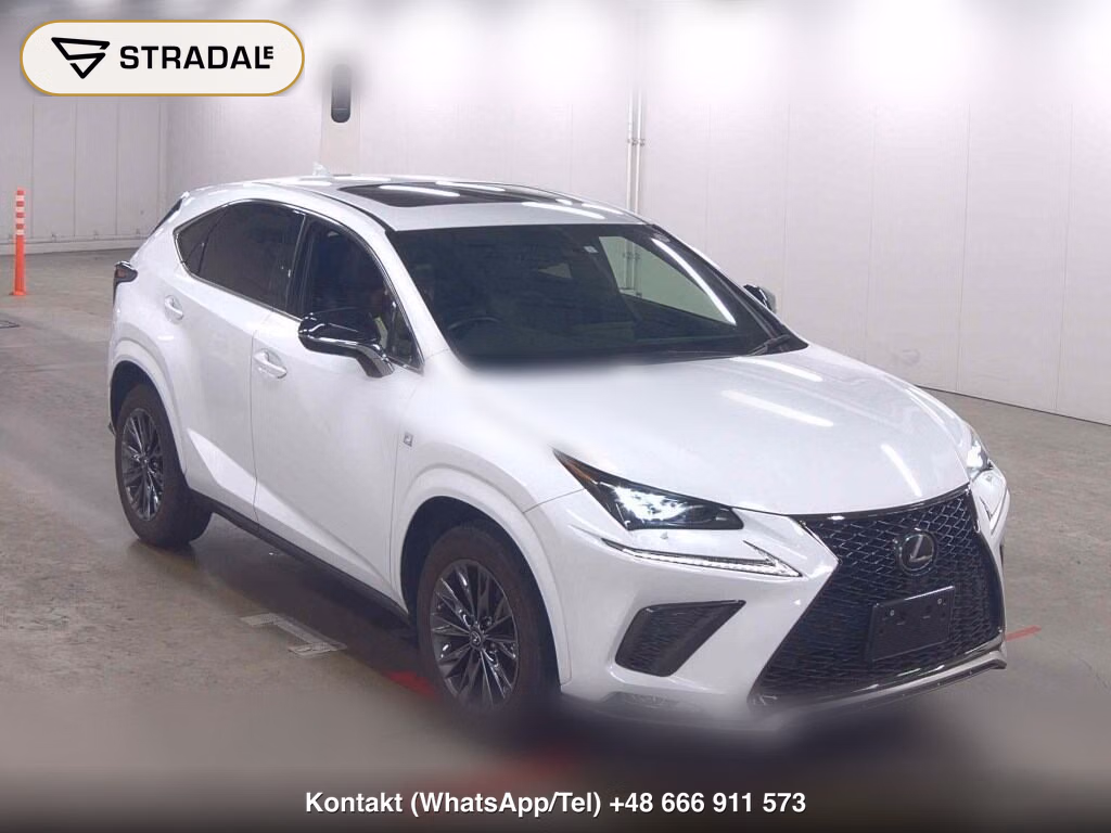 LEXUS NX NX300 SPECIAL EDITION COOL AND BRIGHT 2021, aukcja z Japonii, zdjęcie 1