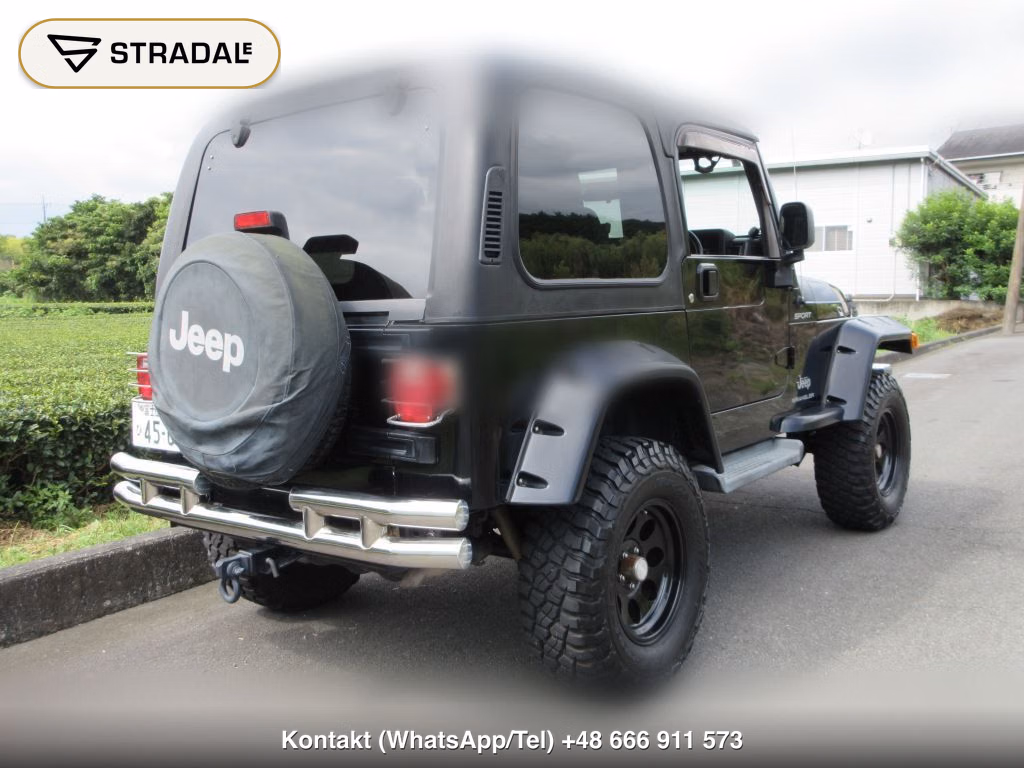 CHRYSLER JEEP JEEP WRANGLER 4WD, miniaturka 11