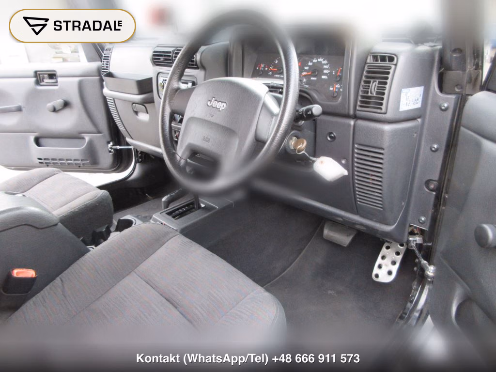 CHRYSLER JEEP JEEP WRANGLER 4WD, miniaturka 12