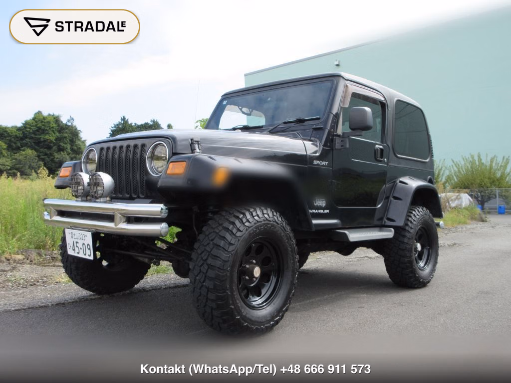 CHRYSLER JEEP JEEP WRANGLER 4WD, miniaturka 10