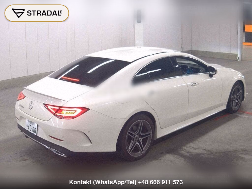 MERCEDES BENZ CLS-CLASS CLS220D SPORTS EXCLUSIVE PACKAGE, miniaturka 6