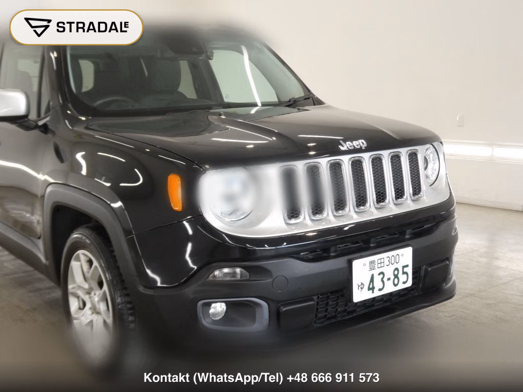 CHRYSLER JEEP JEEP RENEGADE LIMITED, miniaturka 10