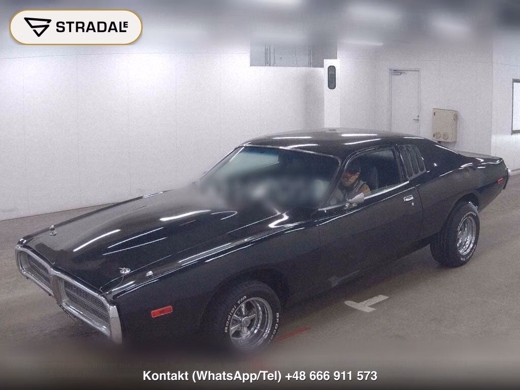 DODGE CHARGER CP, miniaturka 3