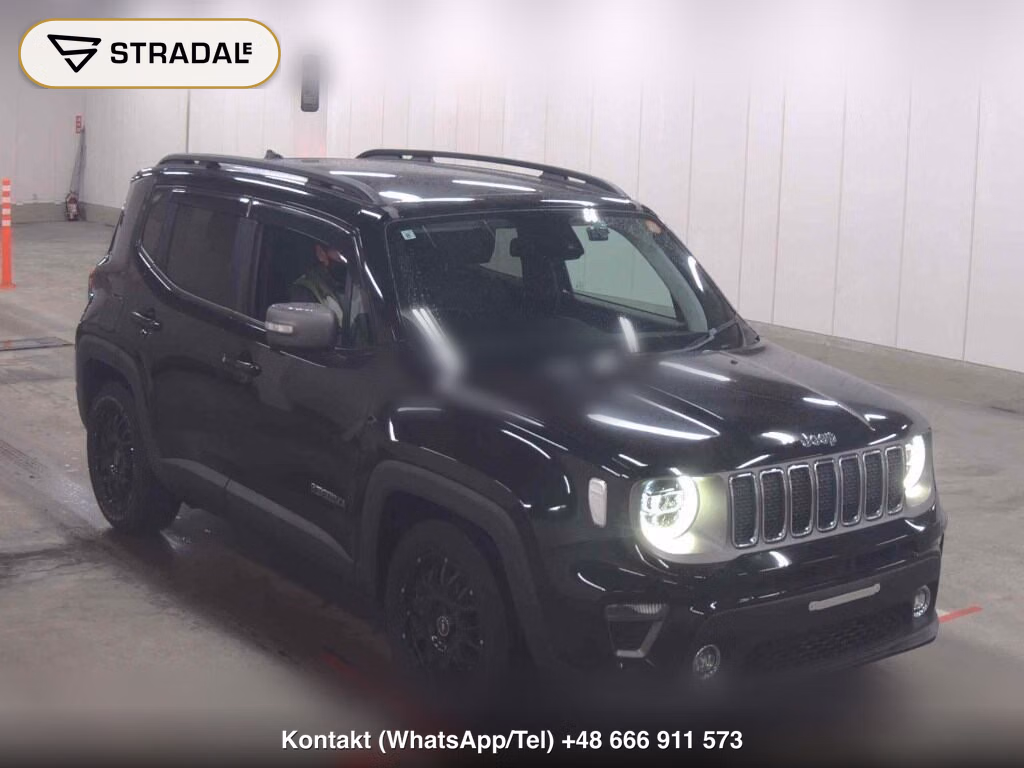 CHRYSLER JEEP JEEP RENEGADE LIMITED 2019, aukcja z Japonii, zdjęcie 1