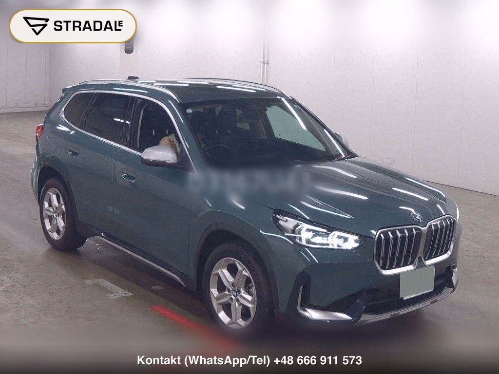 BMW X1 4WD XDRIVE 20D X LINE, miniaturka 2