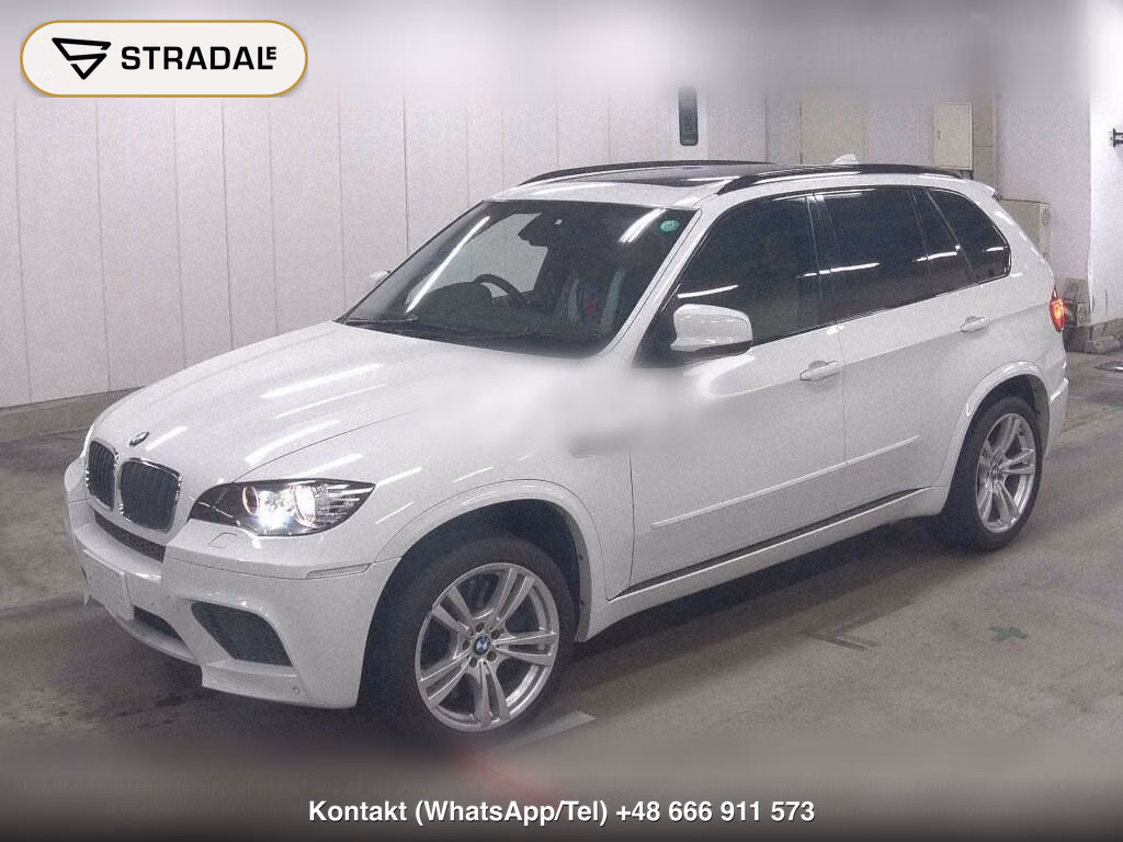 BMW X5 M 4WD BASE GRADE, miniaturka 5