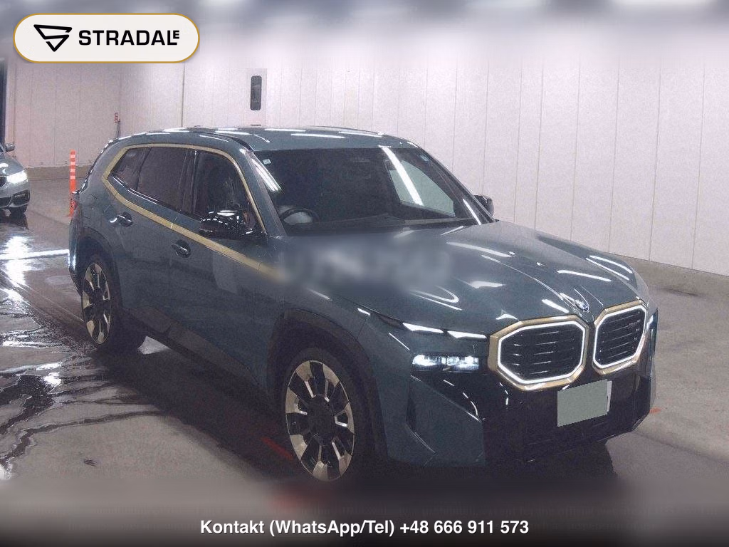 BMW XM 4WD BASE GRADE, miniaturka 2