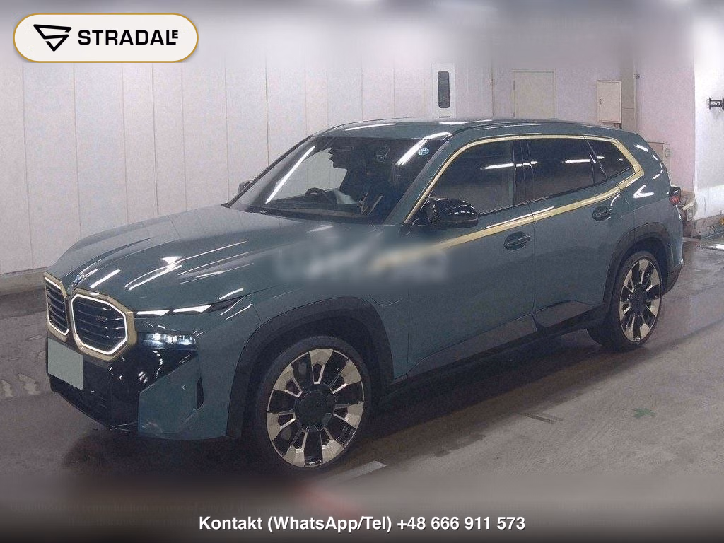 BMW XM 4WD BASE GRADE, miniaturka 5
