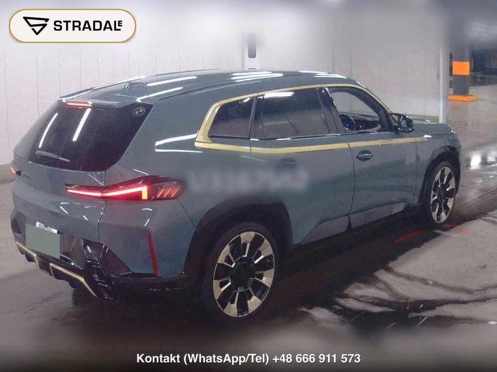 BMW XM 4WD BASE GRADE, miniaturka 6