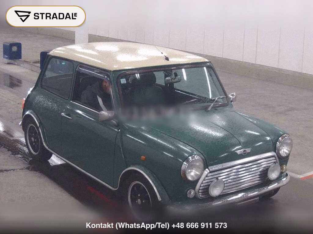 ROVER MINI 2D, miniaturka 2