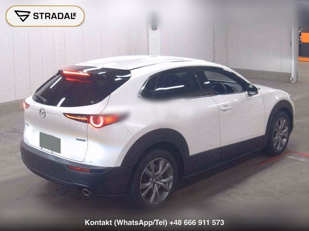 MAZDA CX-30 XD PROACTIVE, miniaturka 6
