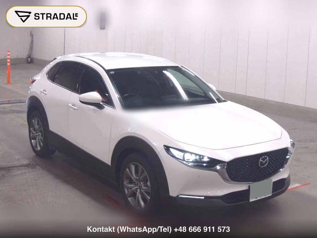 MAZDA CX-30 XD PROACTIVE 2023, aukcja z Japonii, zdjęcie 1