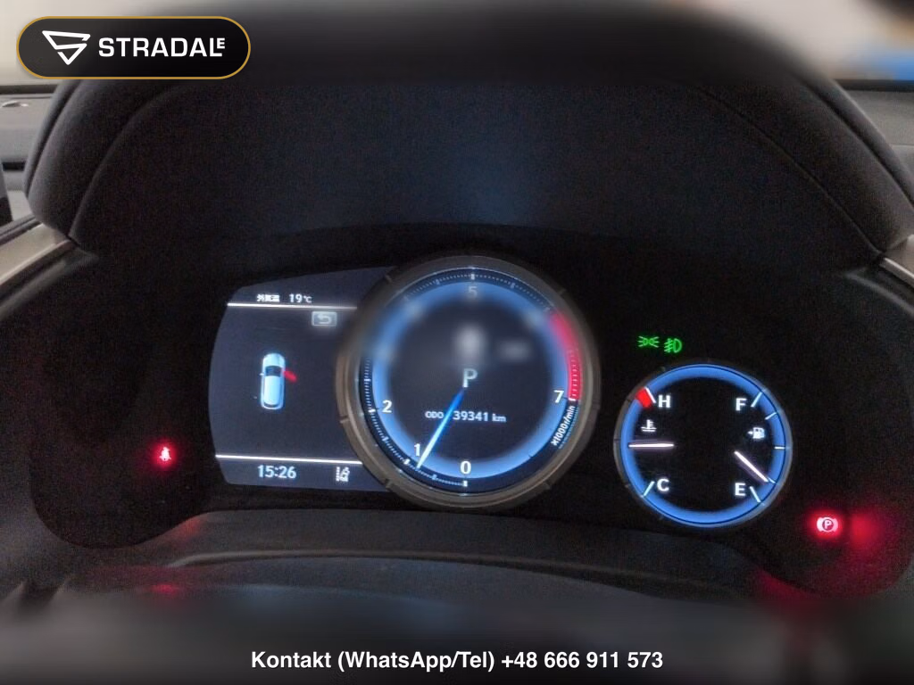LEXUS RX RX300 F SPORT, miniaturka 7