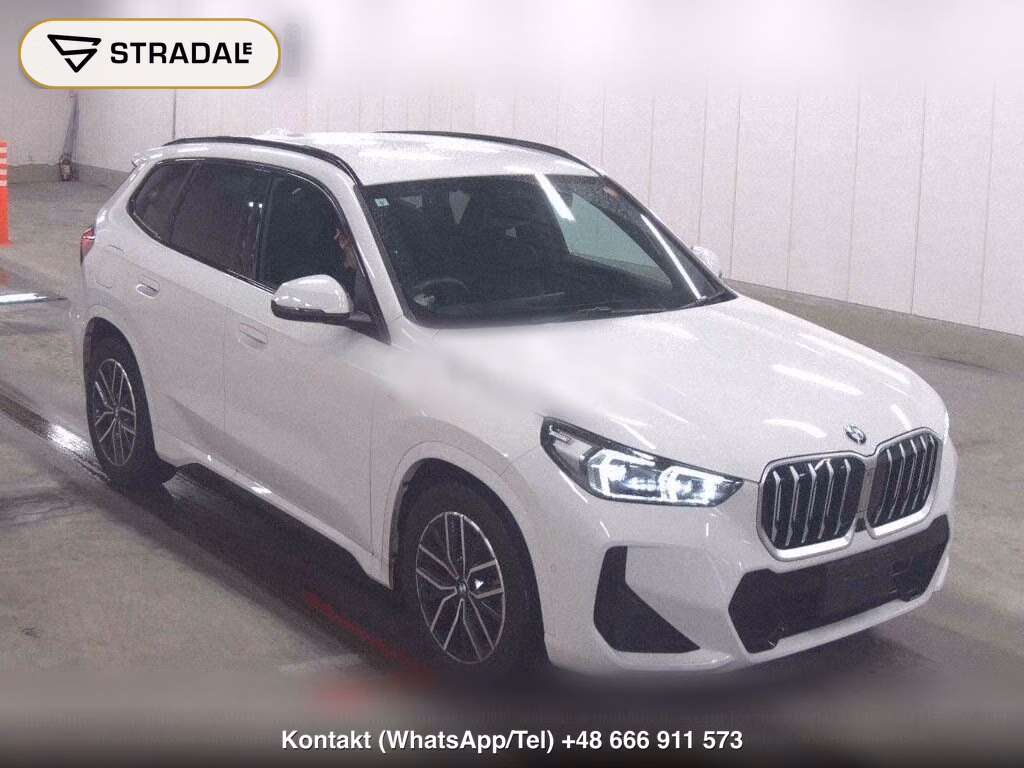 BMW X1 4WD XDRIVE 20D M-SPORT, miniaturka 2
