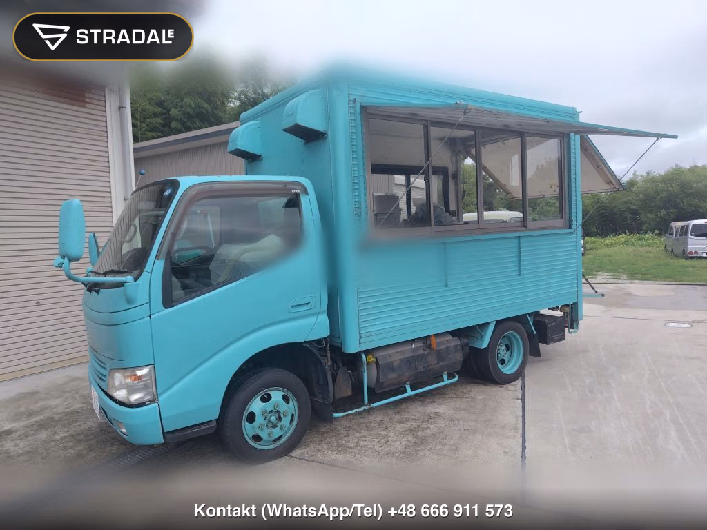TOYOTA DYNA TRUCK 4WD OTHERS, miniaturka 10