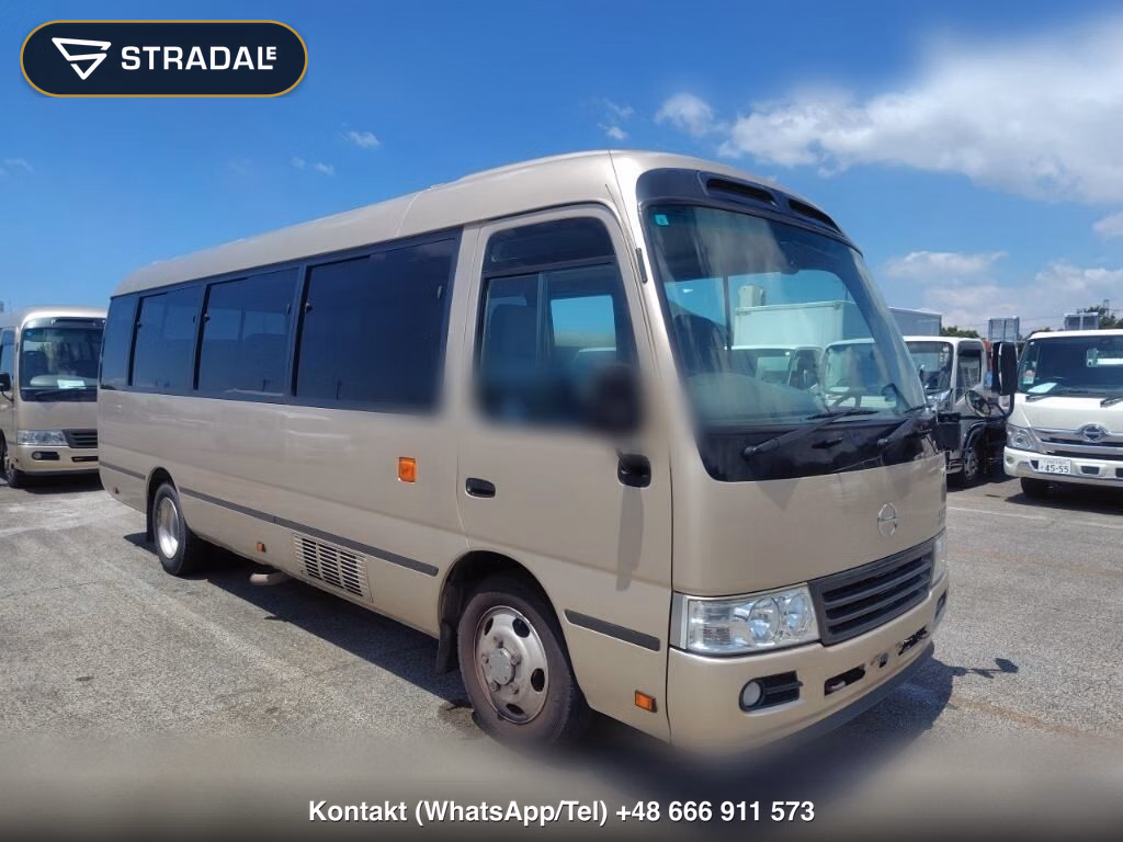 HINO LIESSE Ⅱ 2D 2017, aukcja z Japonii, zdjęcie 1
