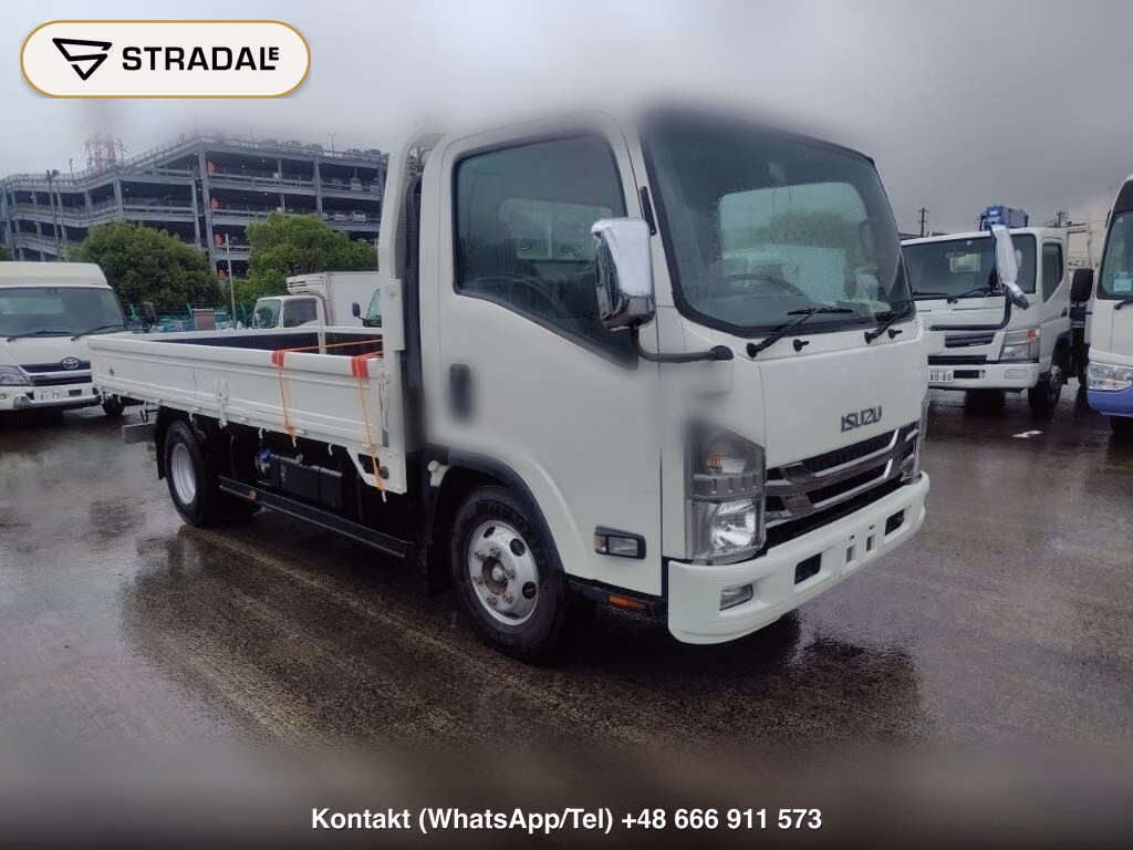 ISUZU ELF TRUCK 2D OTHERS 2019, aukcja z Japonii, zdjęcie 1