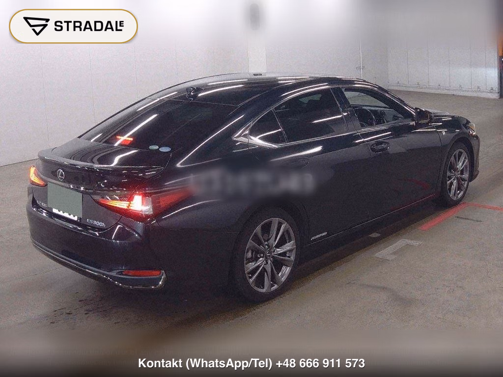 LEXUS ES ES300H F SPORT, miniaturka 6