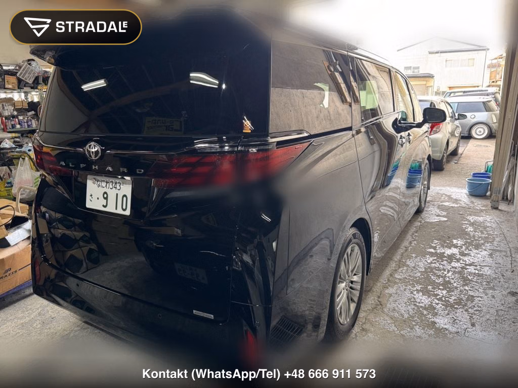 TOYOTA ALPHARD Z, miniaturka 12