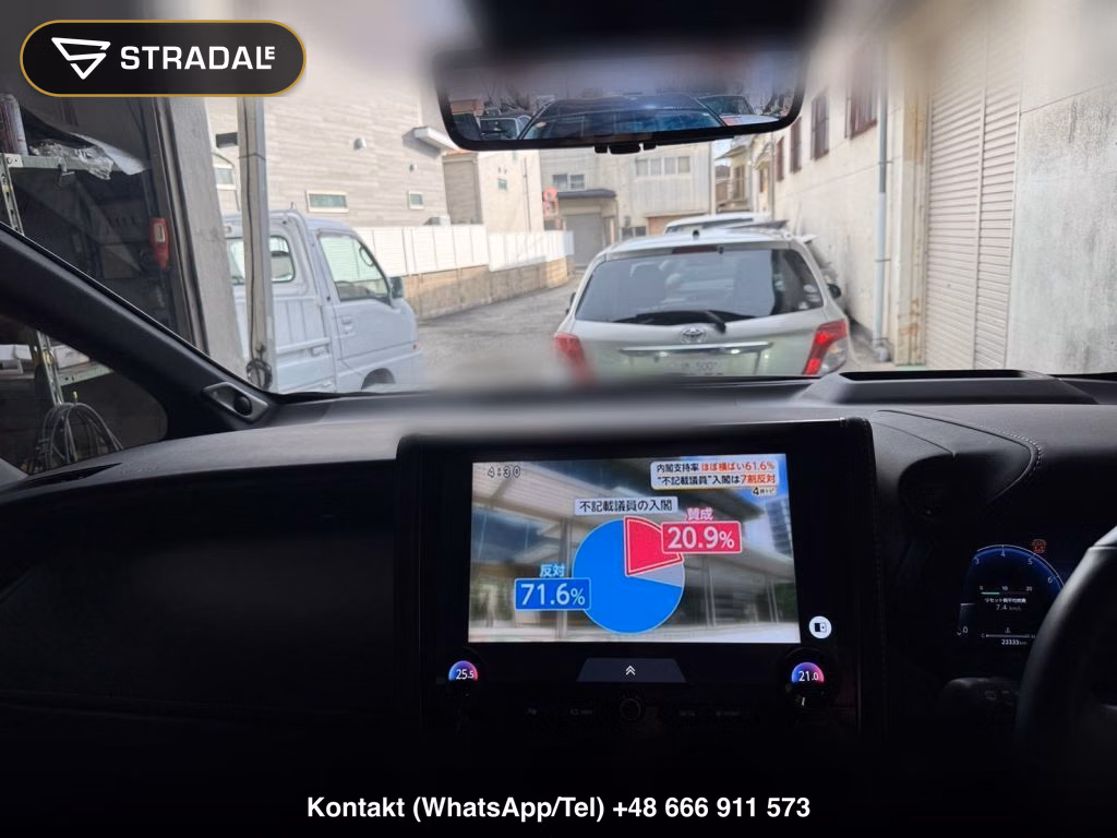 TOYOTA ALPHARD Z, miniaturka 10