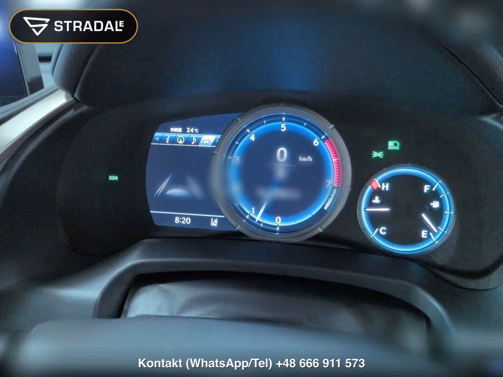 LEXUS RX RX300 F SPORT, miniaturka 7