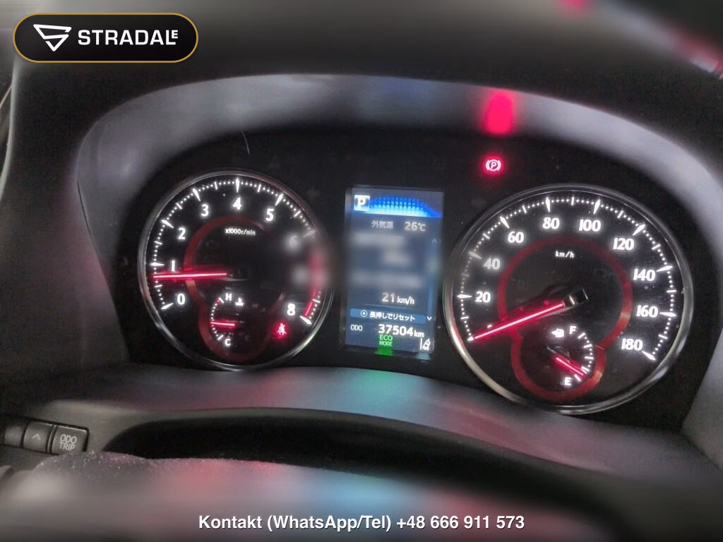 TOYOTA ALPHARD 2.5S TYPE GOLD, miniaturka 6