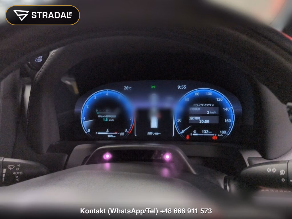 TOYOTA ALPHARD Z, miniaturka 7