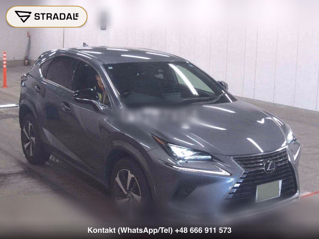 LEXUS NX NX300 SPECIAL EDITION SPICE AND CHIC, miniaturka 2