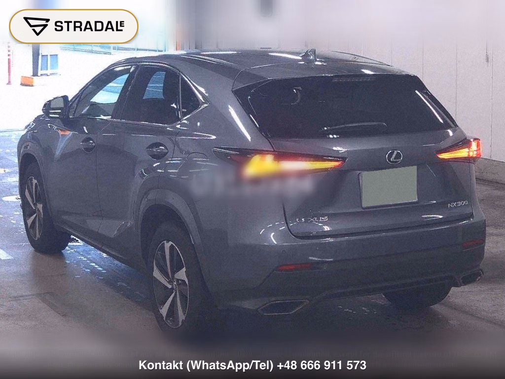 LEXUS NX NX300 SPECIAL EDITION SPICE AND CHIC, miniaturka 3