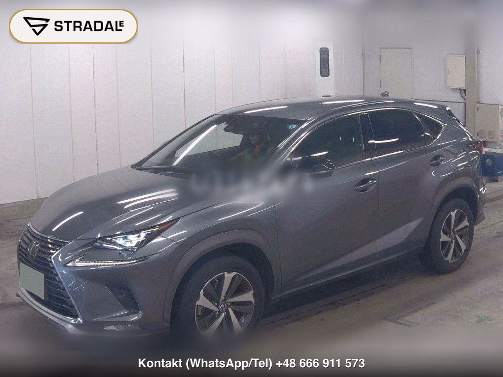 LEXUS NX NX300 SPECIAL EDITION SPICE AND CHIC, miniaturka 5