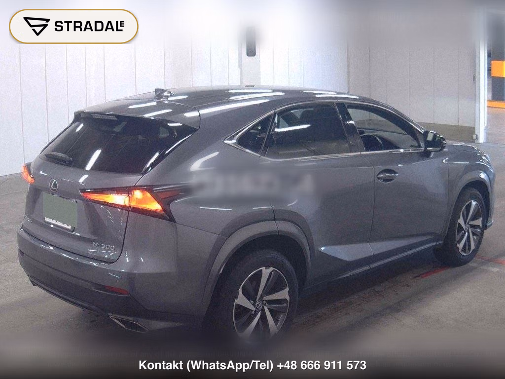 LEXUS NX NX300 SPECIAL EDITION SPICE AND CHIC, miniaturka 6