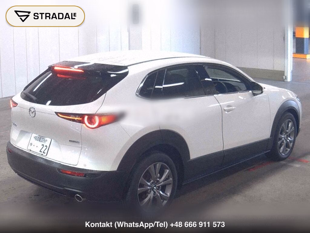 MAZDA CX-30 20S PROACTIVE TOURING SELECTION, miniaturka 6