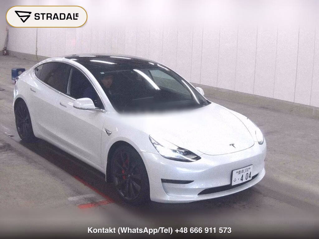 TESLA MODEL 3 4WD PERFOMANCE, miniaturka 2