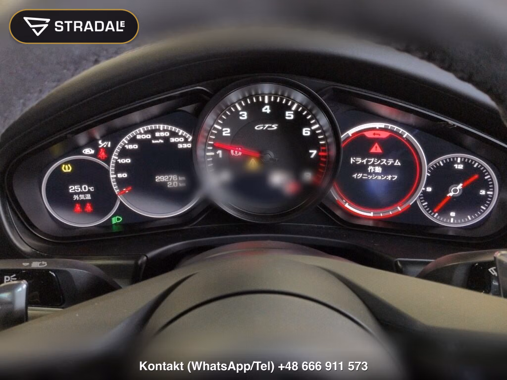 PORSCHE PANAMERA 5D 4WD GTS, miniaturka 7
