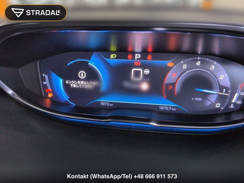 PEUGEOT 3008 GT EXECUTIVE EDITION, miniaturka 7
