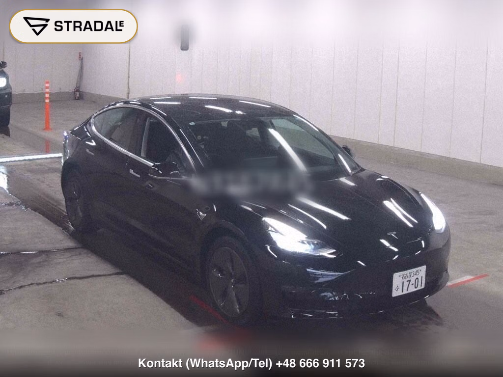 TESLA MODEL 3 4WD LONG RANGE, miniaturka 2