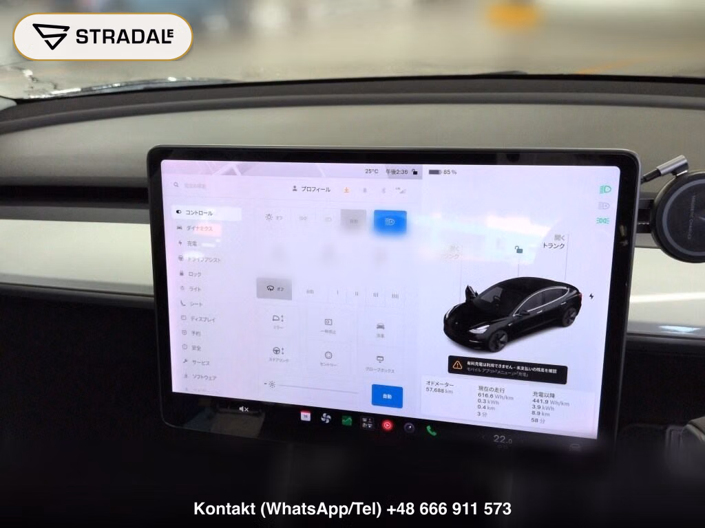 TESLA MODEL 3 4WD LONG RANGE, miniaturka 7